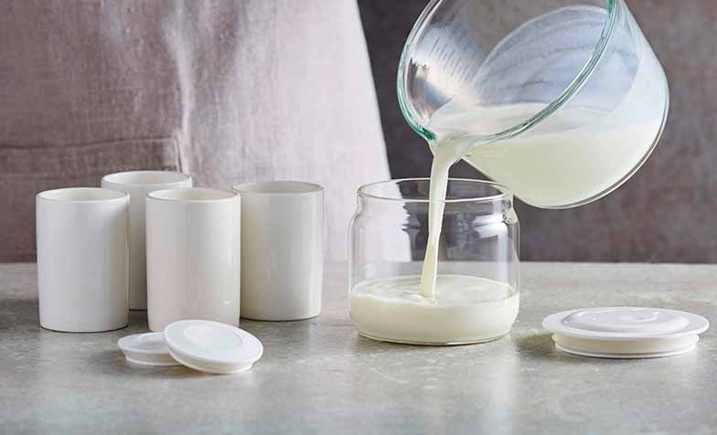 Für jeden Geschmack und jede Lebenslage gibt es die dazu passende Joghurtsorte, sowohl aus Milch, wie auch aus pflanzlichen Drinks.