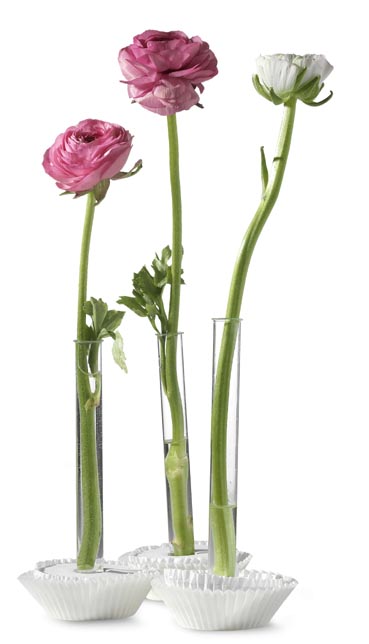 Blumen aus dem Reagenzglas