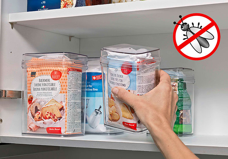 Motten & Co.: Wie vermeidet man Schädlinge in Küche und Kleiderschrank?