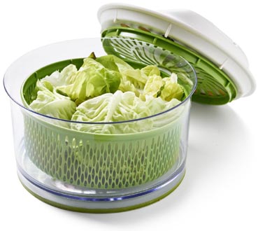 Salat: unser Frische-Tipp