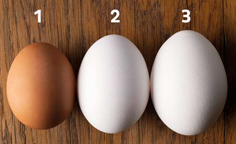 Il existe 3 tailles d’œufs: les gros œufs, 63 g+ (1); les œufs normaux, 53 g+ (2); les petits œufs, 45 g+ (3).