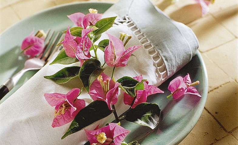 Attention: les fleurs qui décorent la table ou l’assiette risquent d’être perçues comme de la nourriture.