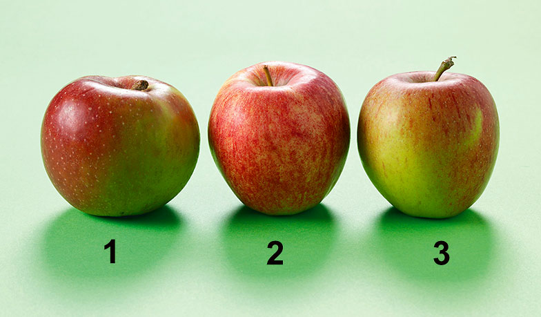 <b>Palmarès des pommes suisses</b>: boskoop (1), gala (2), braeburn (3).