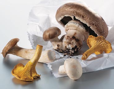 Avec les possibilités de réfrigération d’aujourd’hui, il est tout à fait possible de consommer des champignons réchauffés une seconde fois.