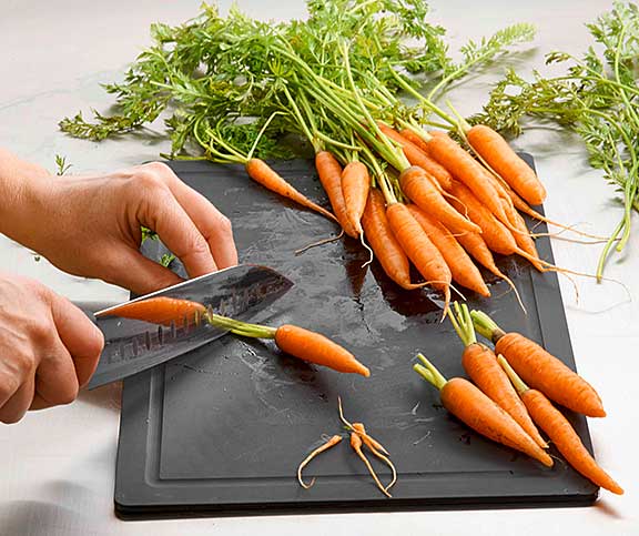 Les carottes en botte