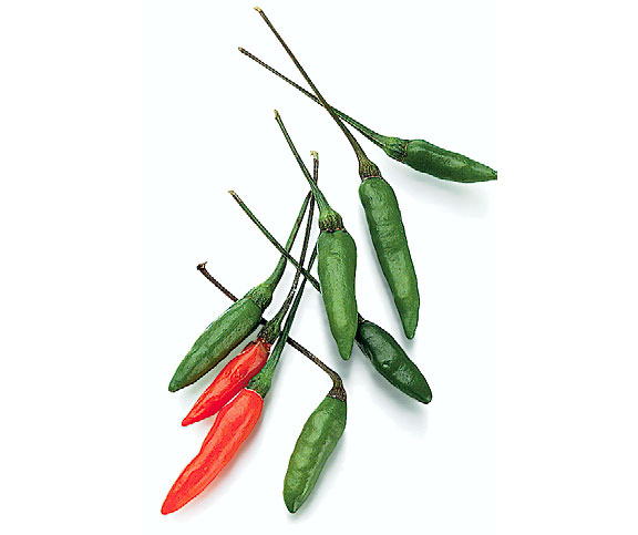 Grüner und roter Thai-Chili