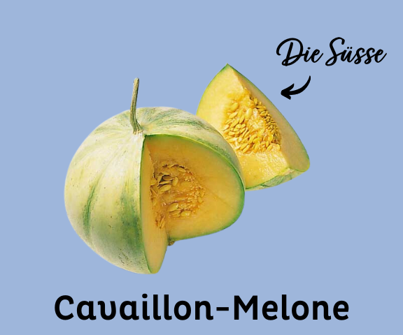 Cavaillon-Melone
