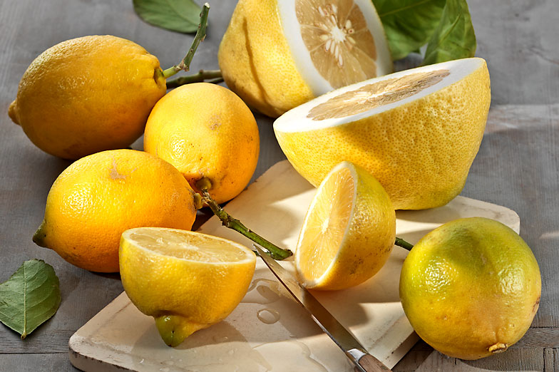 Die Zitrone – ein Multitalent