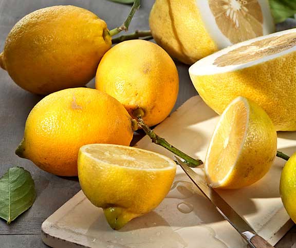 Die Zitrone – ein Multitalent