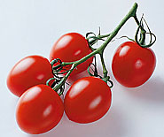 Pro specie rara tomatensorten