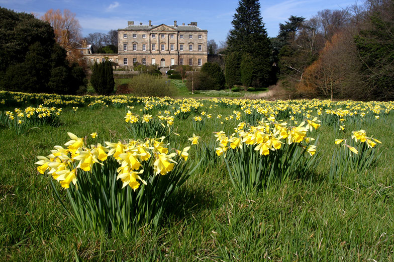 Howick Hall Gardens: l’occasion de déguster un thé Earl Grey et d’admirer le vaste parc fleuri. Photo: Shutterstock