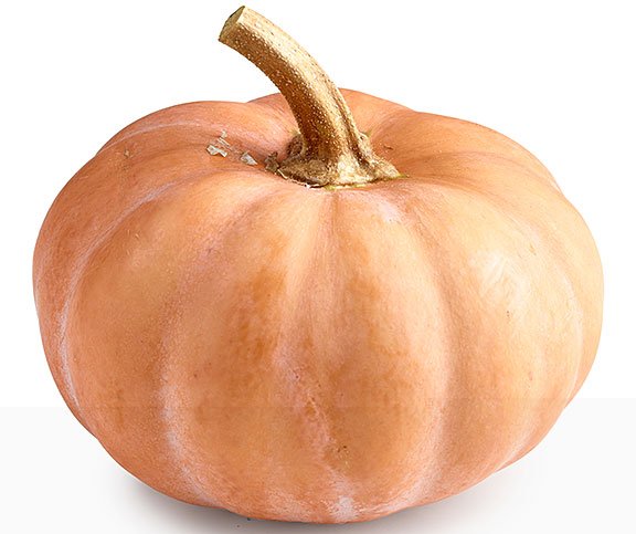 Courge musquée