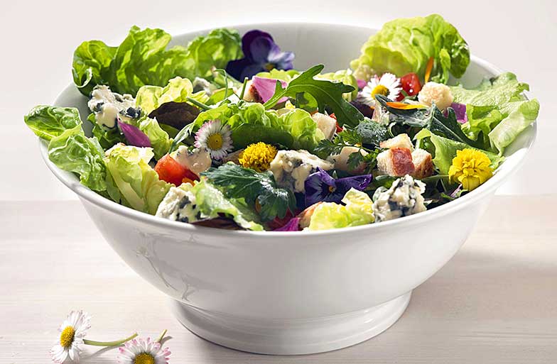 <b>Les pâquerettes et les violettes</b> ne servent pas seulement à décorer des salades. Les premières atténuent aussi les irritations cutanées, et les autres, la toux.
