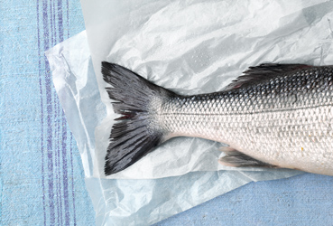Nachhaltig Fisch kaufen