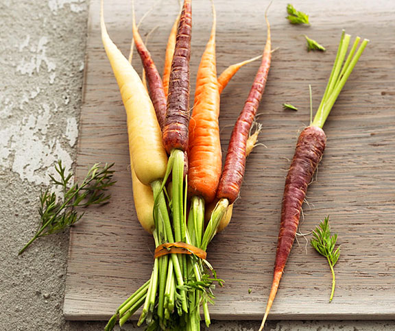 Les carottes, panais et raves