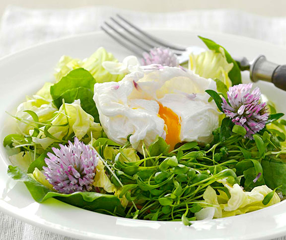 Verlorene Eier im Salatnest