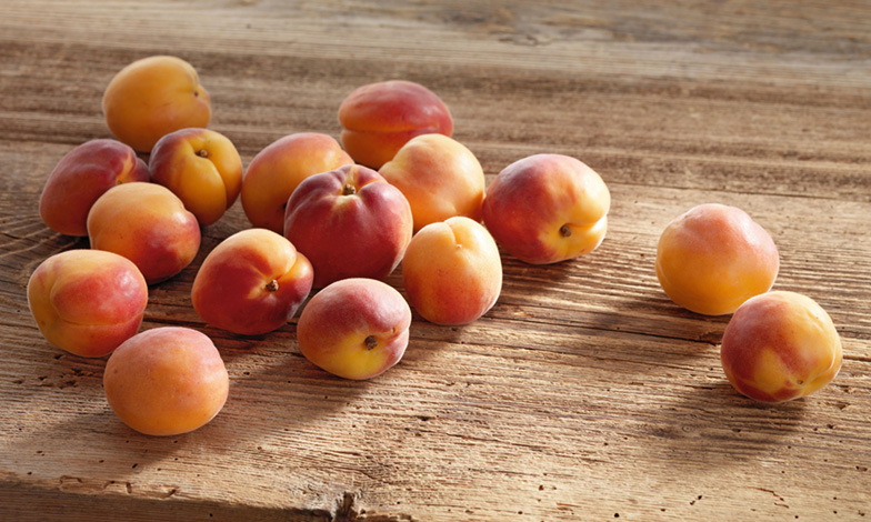 Aprikosen sehen nicht nur gesund aus, sie sind es auch!