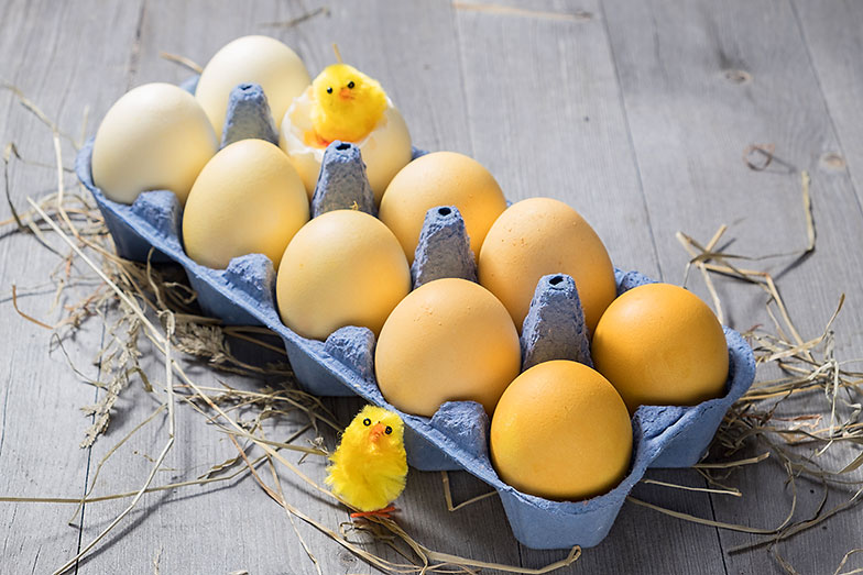 <b>Gelbe Ostereier:</b> Dunklere oder hellere Gelbtöne, je nachdem, ob die Eier von Anfang an oder nachträglich in den Sud gelegt werden.