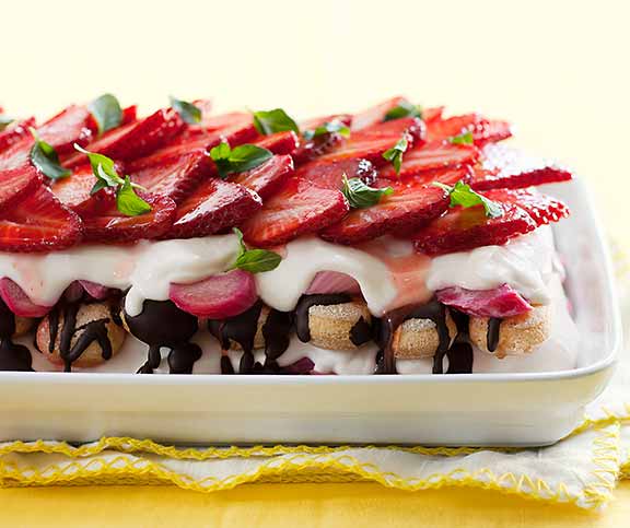 Tiramisu Cailler-fraise-rhubarbe