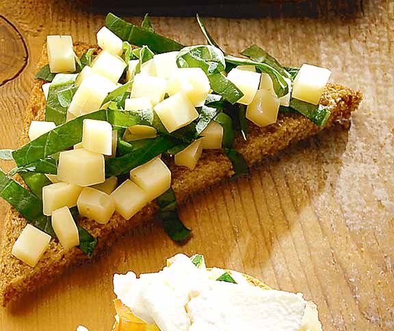 Toast à la fontina